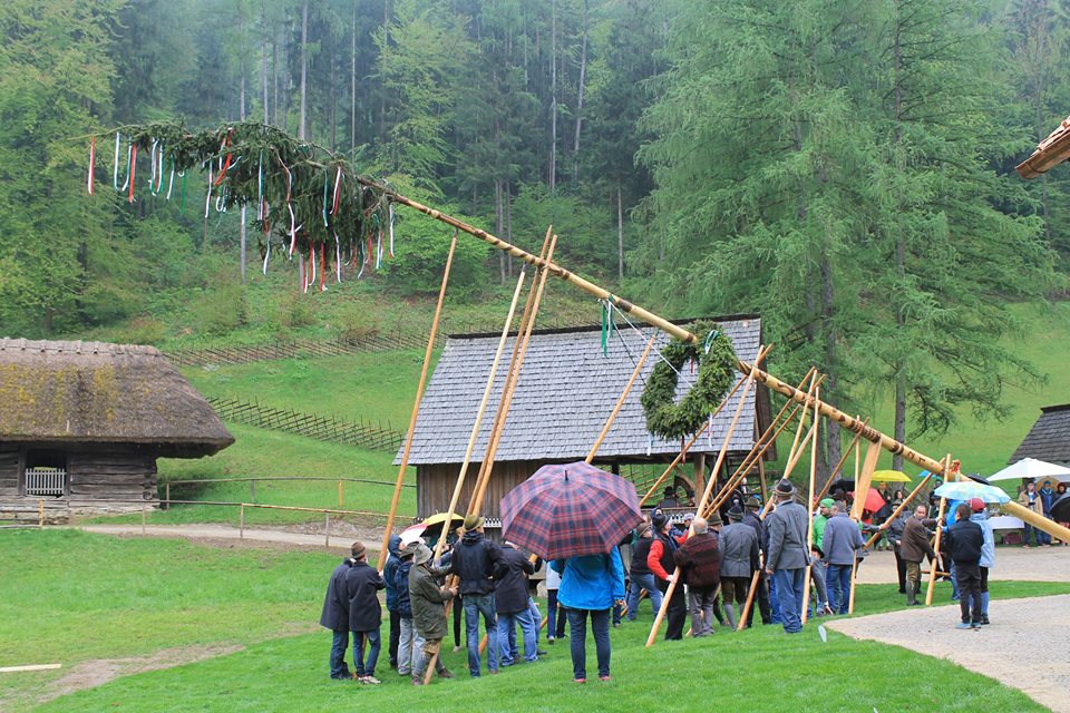 Maibaumaufstellen 2016